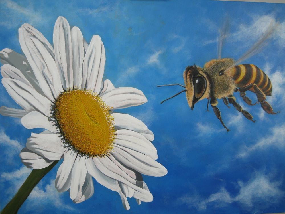 http://www.montmarte.com/cdn/shop/articles/create-a-realistic-giant-bee-acrylic-painting.jpg?v=1664168506